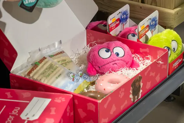 Klantcase Zooveel Voor Dieren LR 2