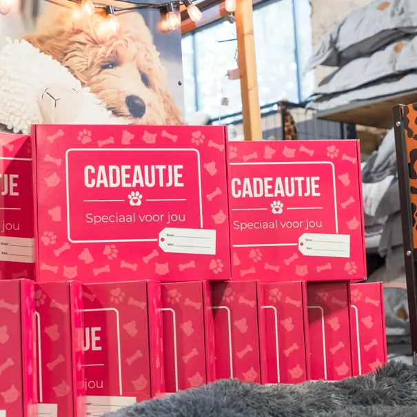 Klantcases: Zooveel voor Dieren
